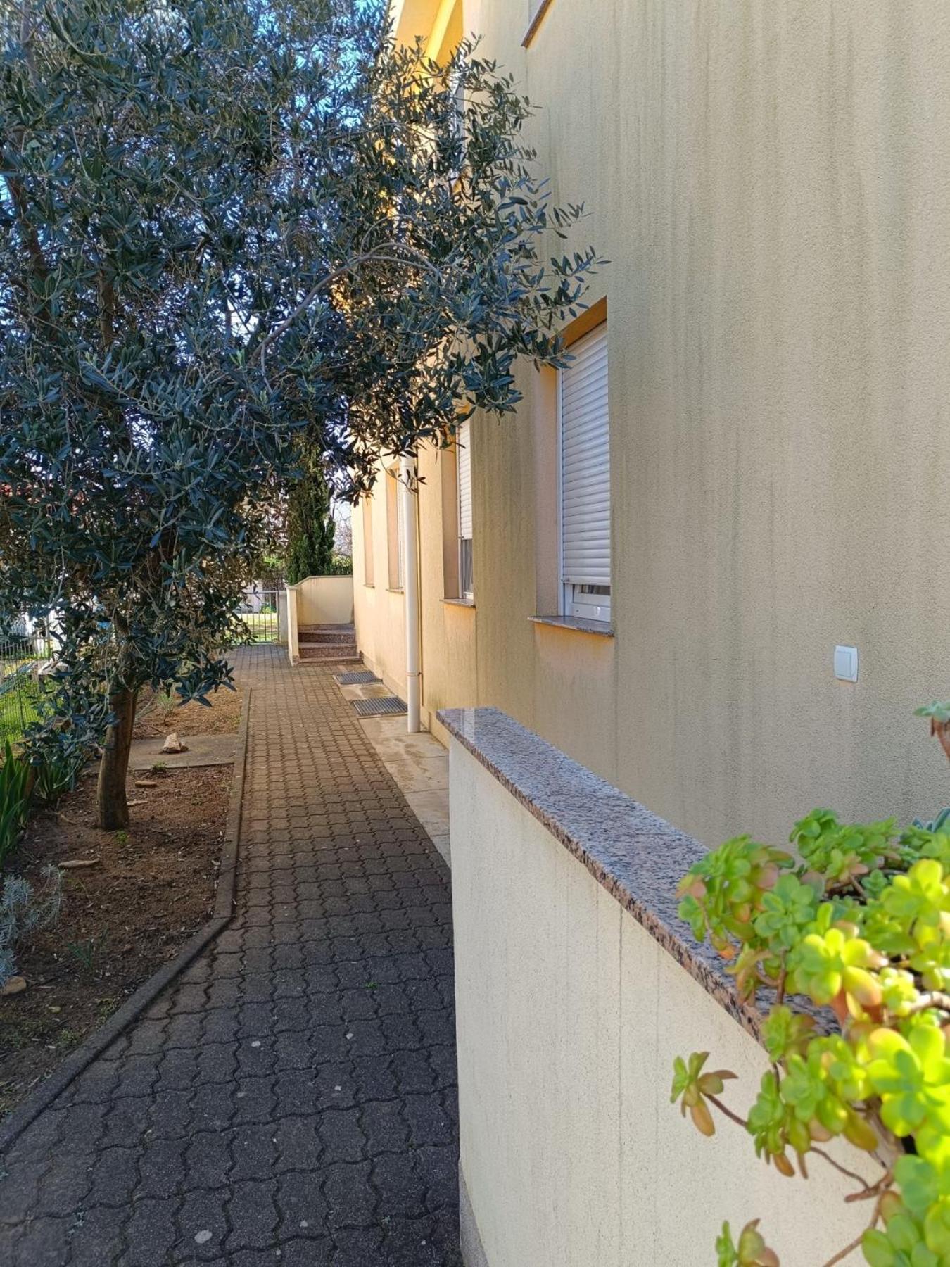 Apartments David - Sabunike Near Nin Privlaka (Zadar) Exterior foto
